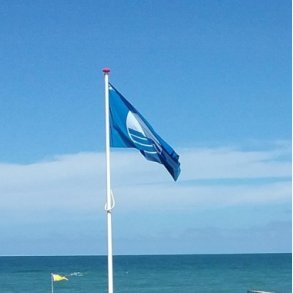  Reklameflag: Dannebrogformat, Spun Polyester 160 g. digital Print